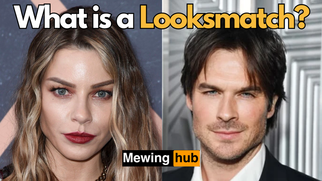 Two pictures of attractive actors and text saying what is a looksmatch