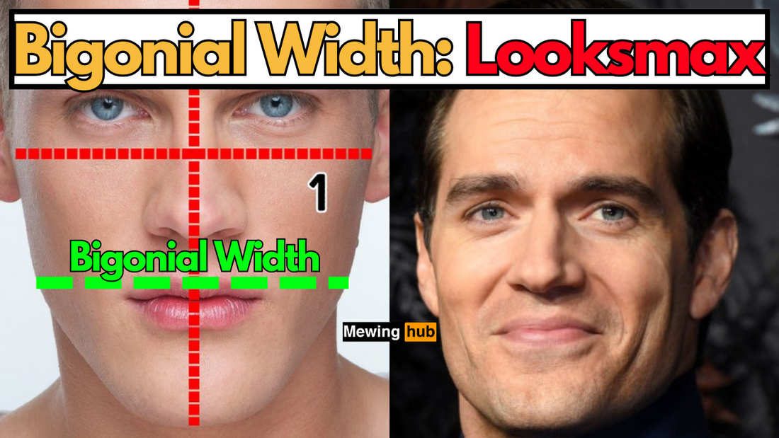 Pictures showing the bigonial width with text saying bigonial width looksmax.