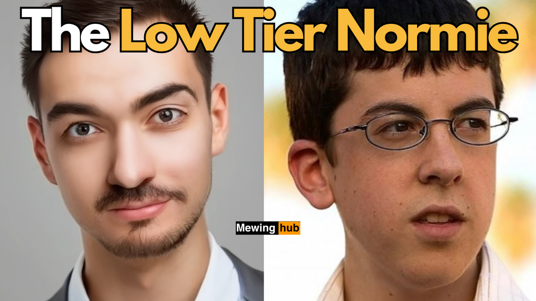 pictures of men with text saying the low tier Normie
