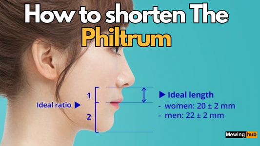 picture illustration showing what is the philtrum and it's ideal length