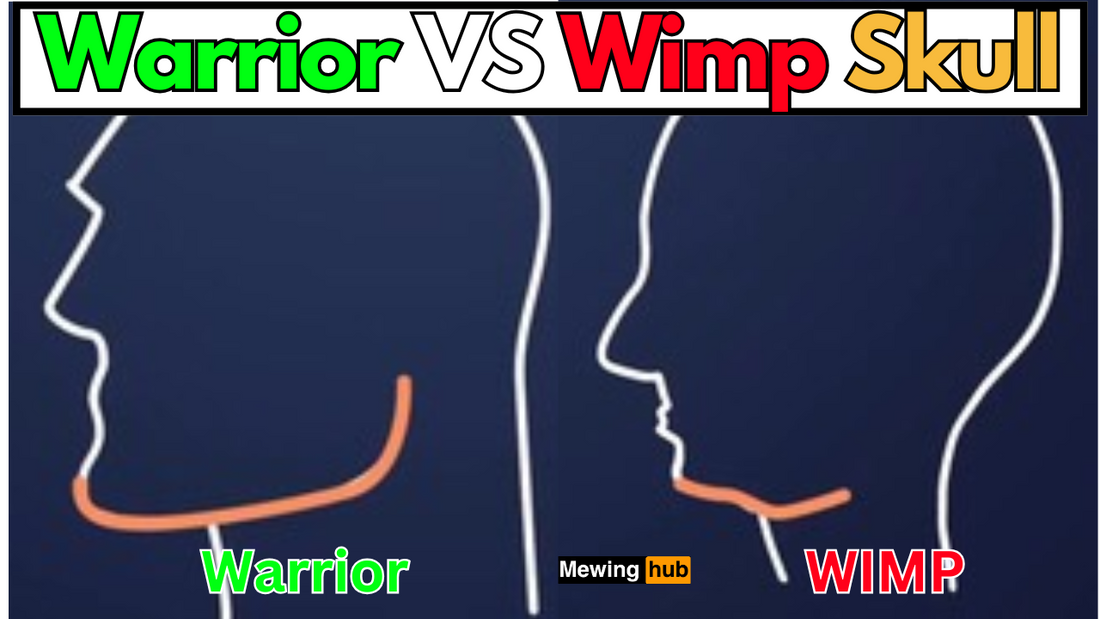 Illustrations showing a warrior and wimp skull with text saying warrior vs wimp skull