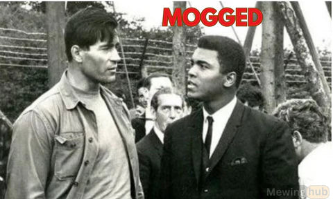 Image showing two men one of which is being mogged.