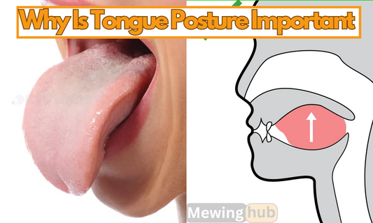 Images of a tongue and proper tongue posture.