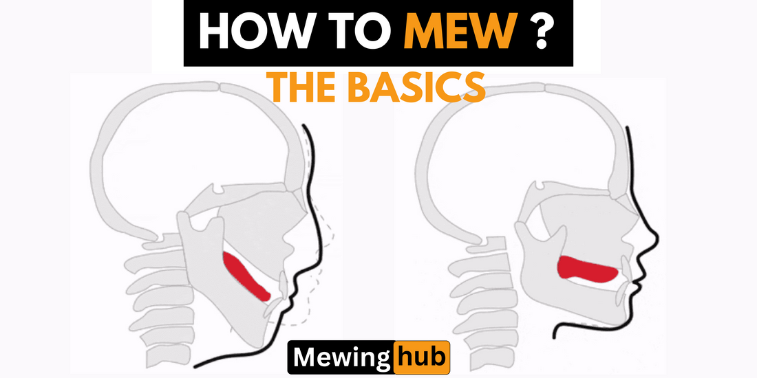 Diagram illustrating basic mewing technique and its impact on facial growth, showing correct tongue placement.