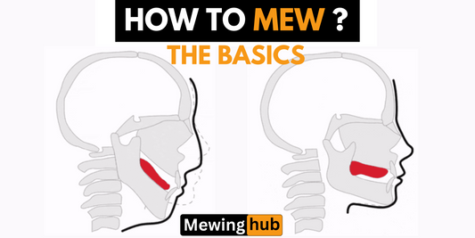 Diagram illustrating basic mewing technique and its impact on facial growth, showing correct tongue placement.