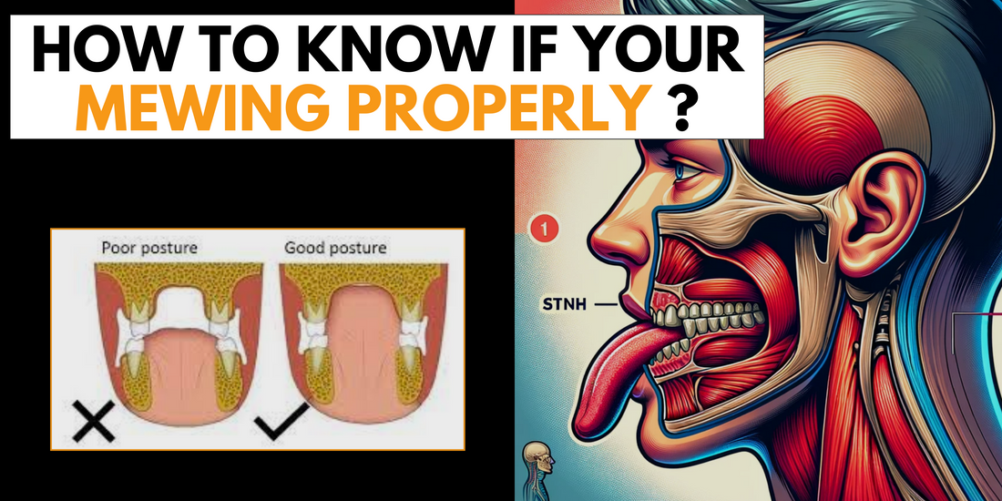  Illustration showing proper and improper mewing posture, highlighting correct tongue position inside the mouth for effective mewing techniques.