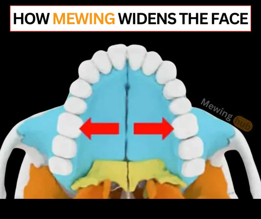 Illustration of a palate and the bones in the palate with the text how mewing widens the face