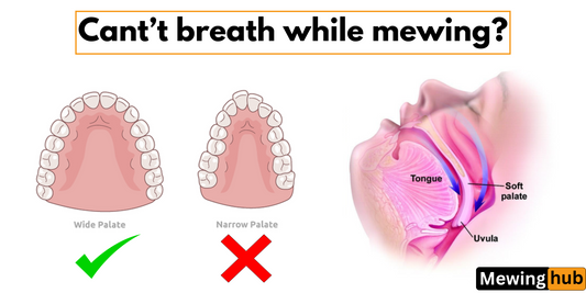 Comparison diagrams showing the differences between a wide and narrow palate, and how tongue placement affects breathing while mewing.