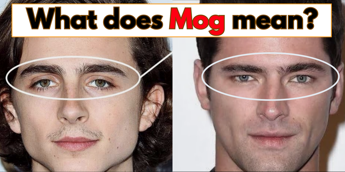 Comparison of two men's faces with text 'What does Mog mean?' discussing the concept of mogging in looksmaxing