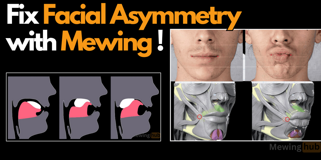 Instructional images demonstrating how to fix facial asymmetry with mewing, featuring before and after comparisons and tongue positioning diagrams.