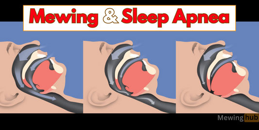 A diagram showing how snoring occurs, making a connection between mewing and sleep apnea.