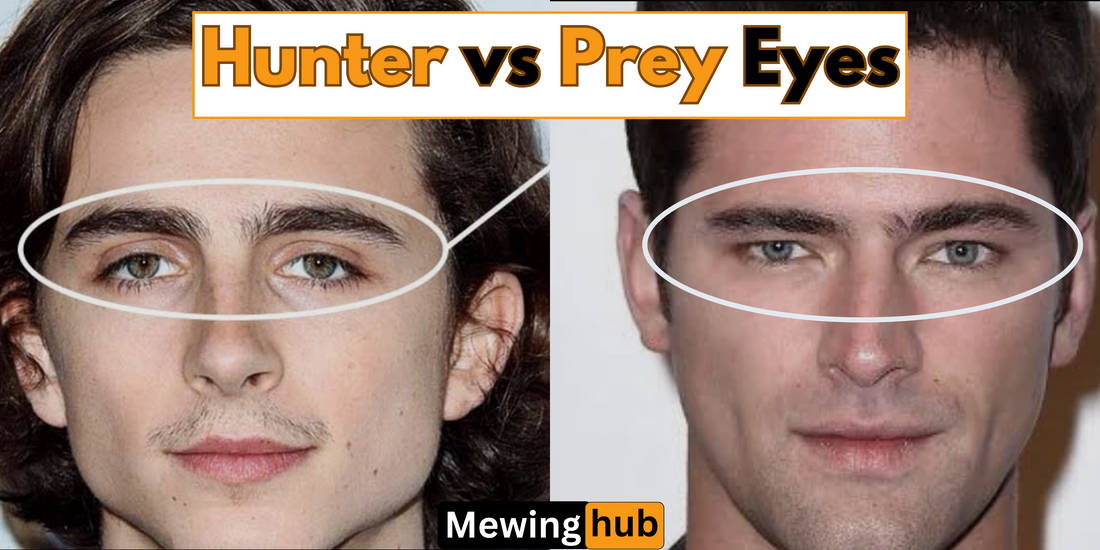 Comparison image labeled 'Hunter vs Prey Eyes' showing differences in eye positioning and facial expressions.