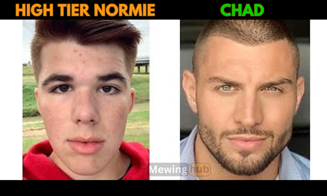Image showing an High tier normie vs a chad