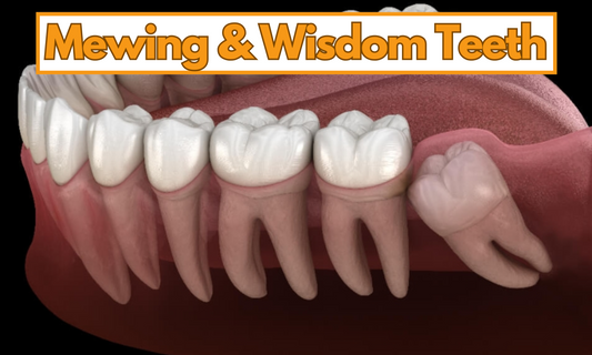 Illustration of wisdom teeth and text mentioning the connection between mewing and wisdom teeth